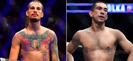 Prédictions pour le combat Sean O'Malley-Louis Smolka