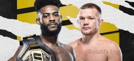 Aljamain Sterling contre Petr Yan