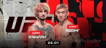 Sean O'Malley contre Song Yadong